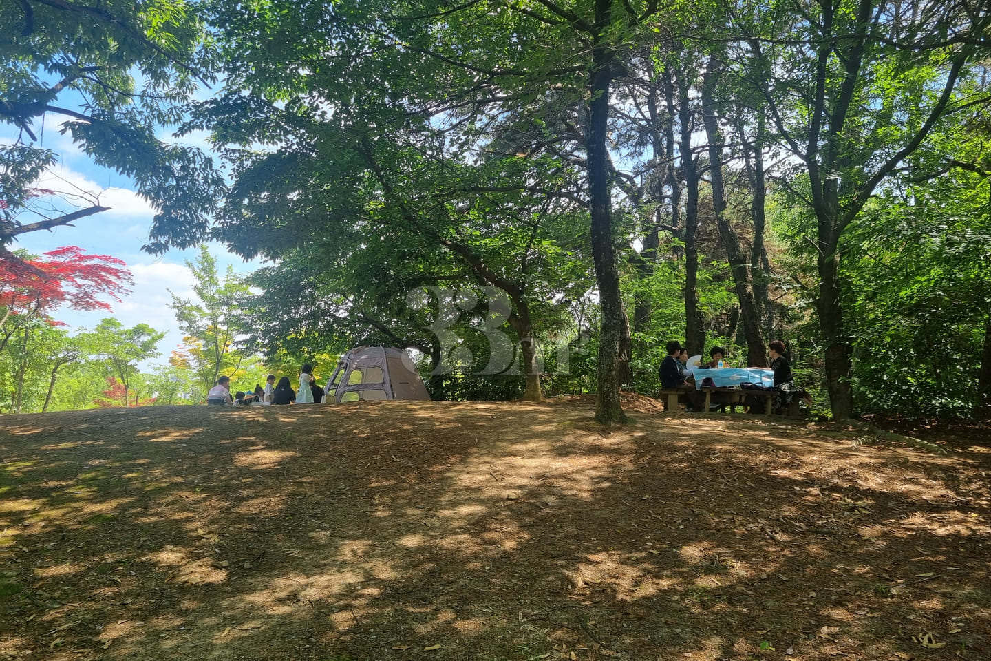 #SunHospital Internship – 1-Minute Walk! 13th image