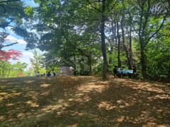 #SunHospital Internship – 1-Minute Walk! 13th image