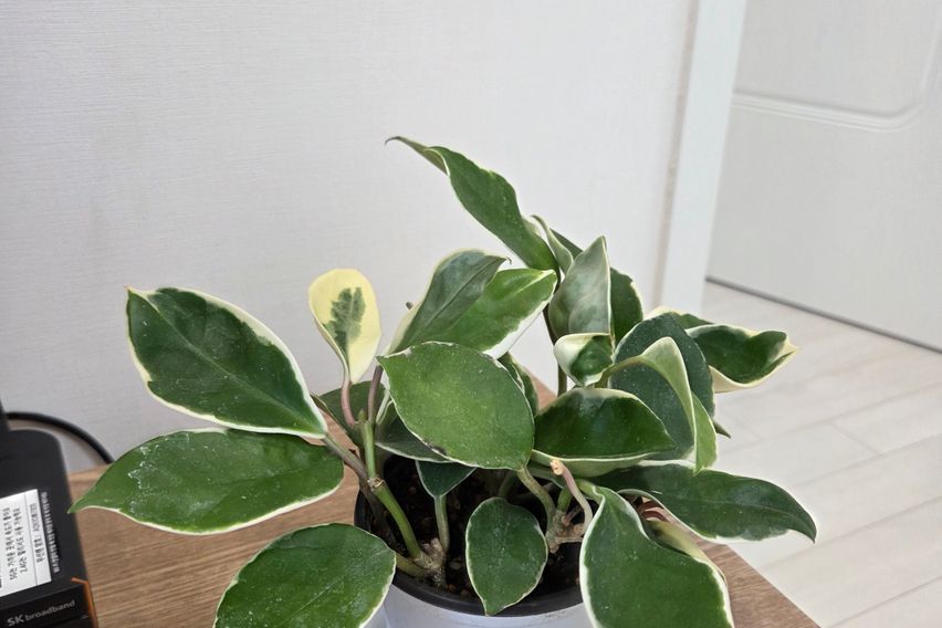 동묘역 신당역B신축) 8번째 이미지