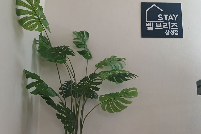 강남 스테이 2 13번째 이미지