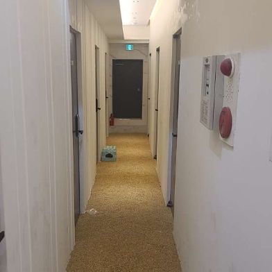 스탠다드 디럭스405