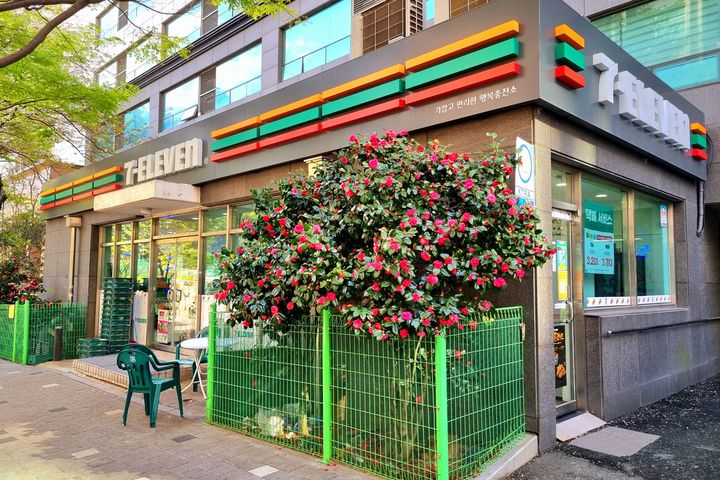 해운대☆장산역5초!뚜벅 17번째 이미지