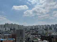 🎯성수서울숲뚝섬반려견 8번째 이미지