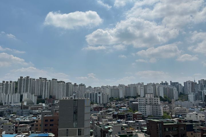 🎯성수서울숲뚝섬반려견 8번째 이미지