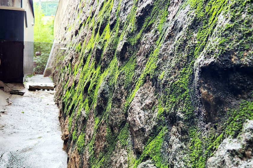 삼청동도심공원개울가독채 2번째 이미지