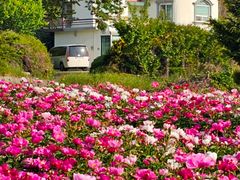 고흥 배산임해 독채별장 5번째 이미지