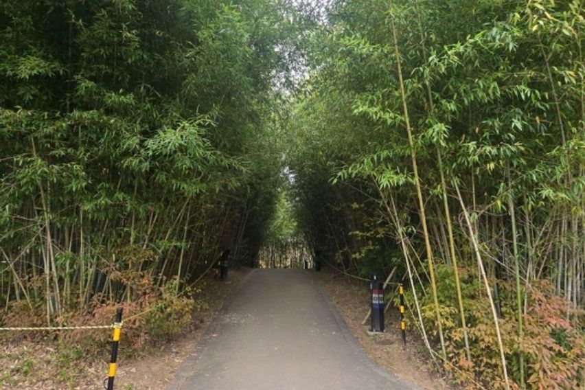 주엽역 cozy9풀옵션