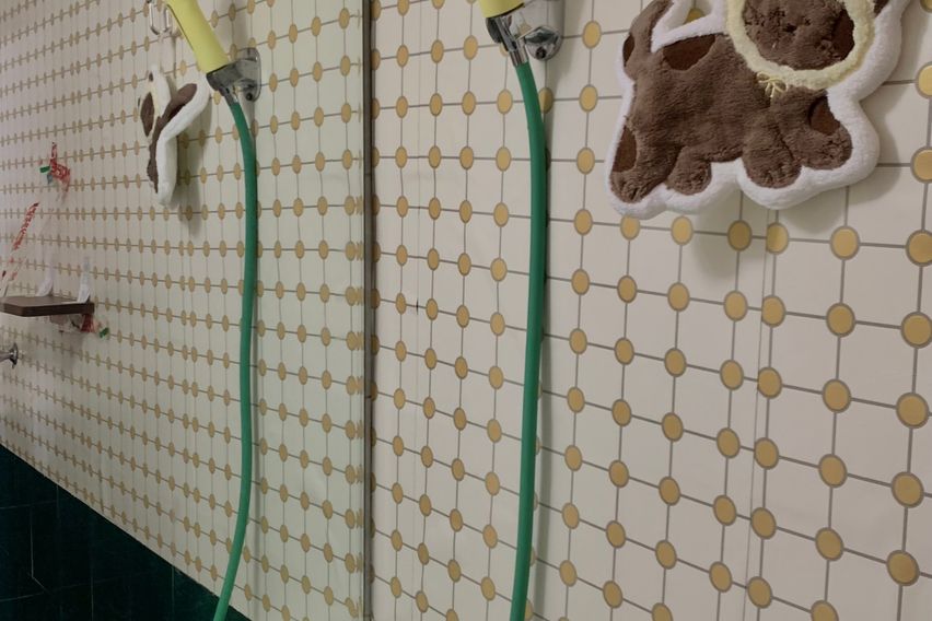 교원대 충청대 오송역