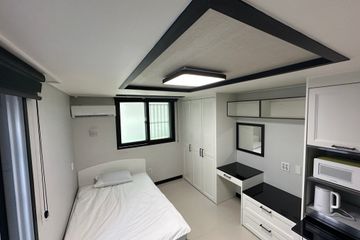 하버드101(오픈특가)