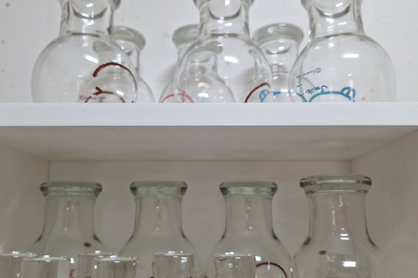 청산도 락 한옥 국화