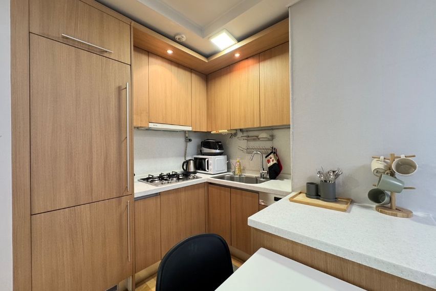 강남구청역 풀옵션 2룸