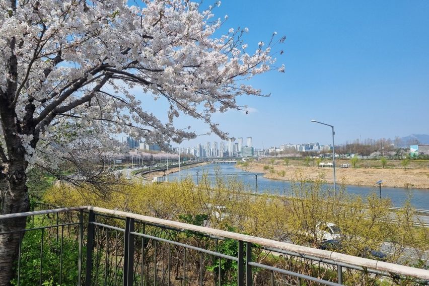 성수역 건대역 한양대역 13번째 이미지