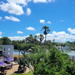 애월 애견동반 잔디마당 19번째 이미지