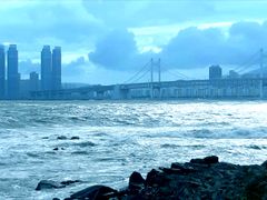 바다의 별 6번째 이미지