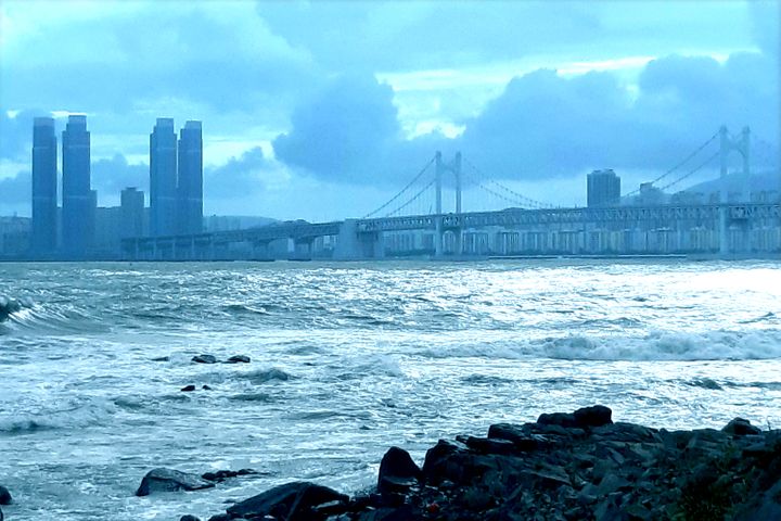 바다의 별 6번째 이미지
