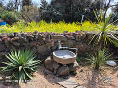 Stone house with a yard in the Jeju countrysi 8th image