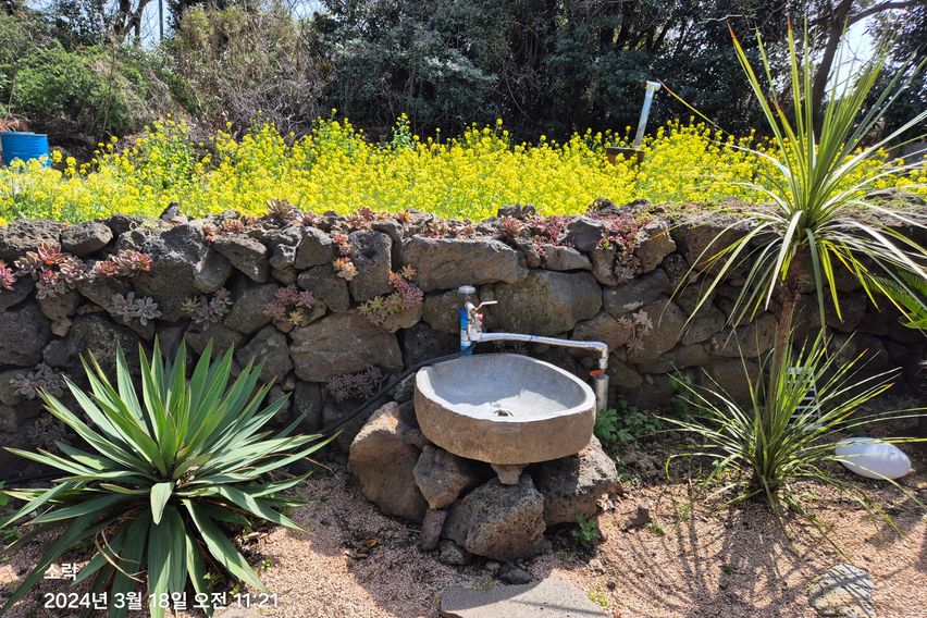 제주시골 마당있는 돌집