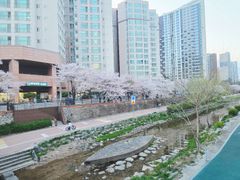 고대병원/동대문/명동 18번째 이미지