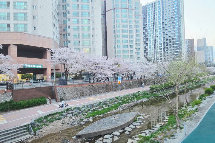 고대병원/동대문/명동 18번째 이미지