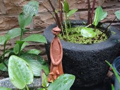서대문역 넓은 쓰리룸 5번째 이미지