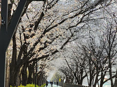 성수 건대 한양대201 17번째 이미지
