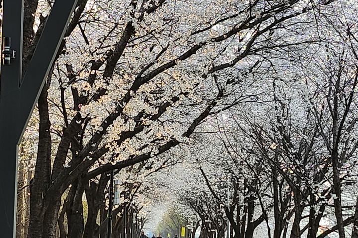 성수 건대 한양대201 17번째 이미지