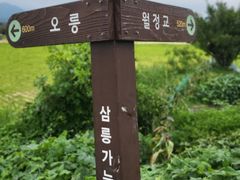정원이아름다운주택 15번째 이미지