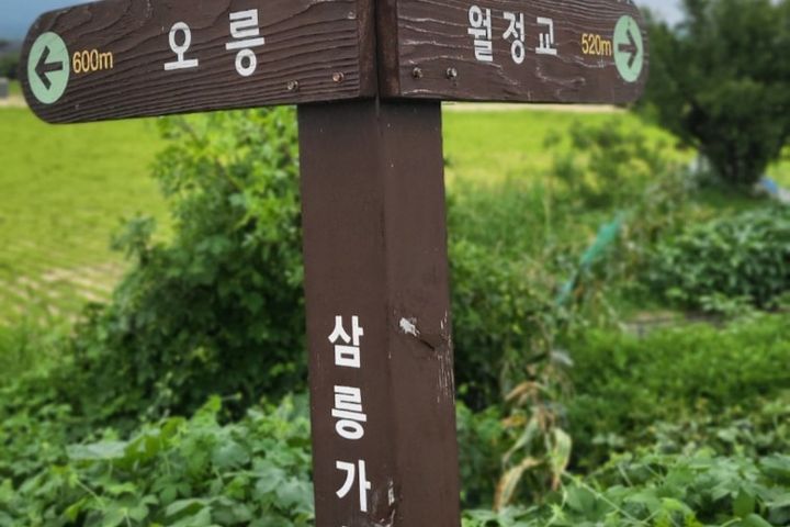 정원이아름다운주택 15번째 이미지