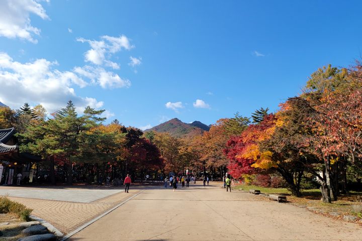 속초울산바위미키하우스 14번째 이미지