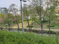 강남 5번째 이미지