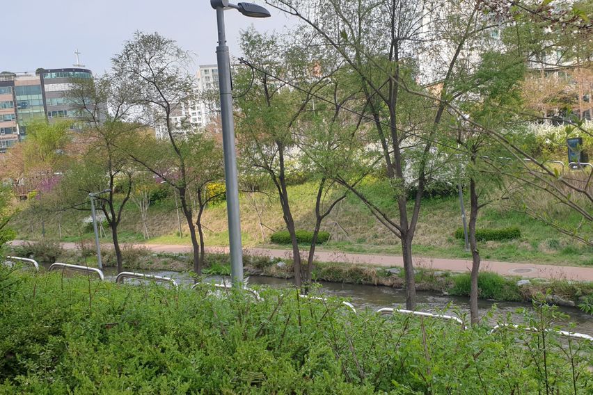 강남 5번째 이미지