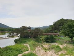 금강변을 따라 솔향기 9번째 이미지