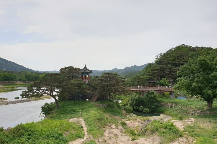 금강변을 따라 솔향기 9번째 이미지