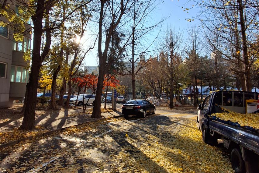 노원하계을지병원백병원