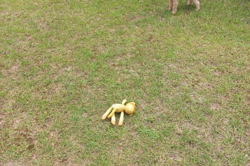 잔디마당.독채. 바베큐