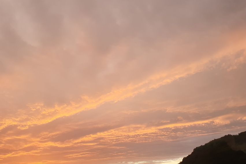 포항독채월세단기임대