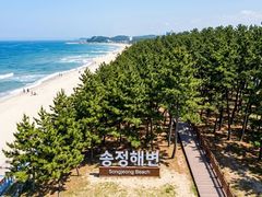 Accommodation next to Songjeong Beach Pine Fo 11th image