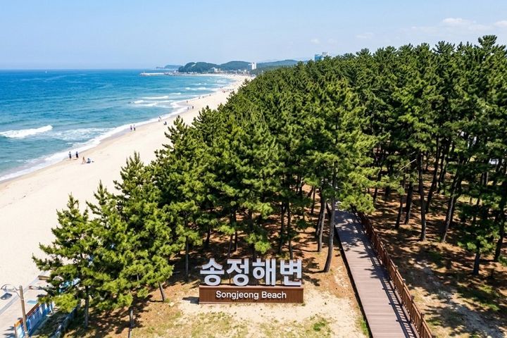 Accommodation next to Songjeong Beach Pine Fo 11th image