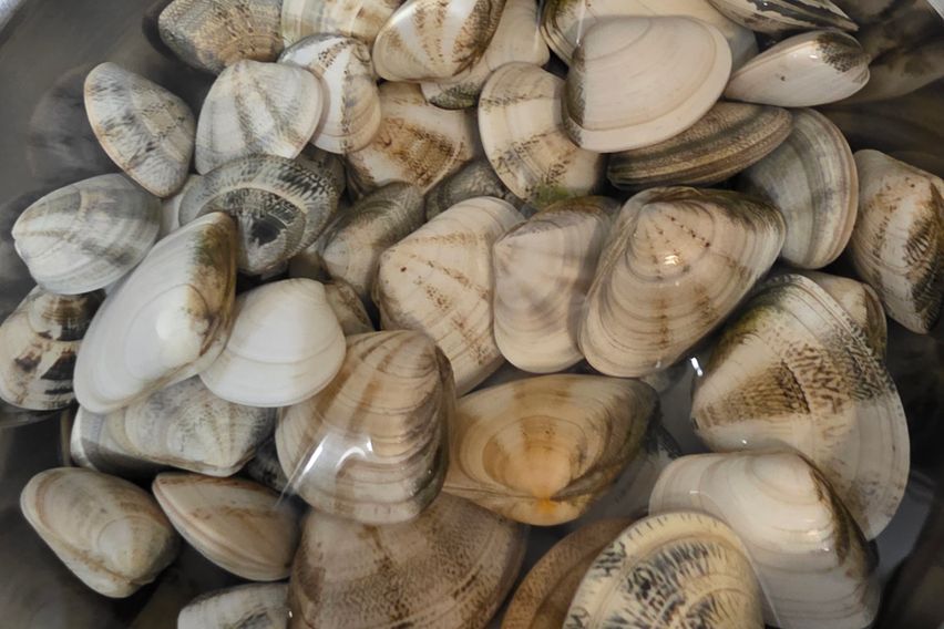 바닷가 5분조용한집1 11번째 이미지