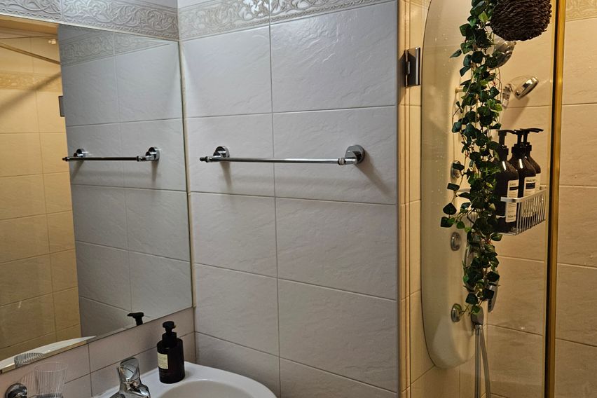 연말특가🩵❤️강남신사