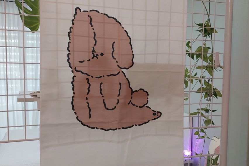 둔산동출장🤩아늑/깔끔