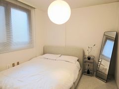 고대병원/동대문/명동 11번째 이미지