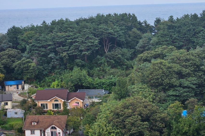 강릉 사천해변5분 신축 1번째 이미지