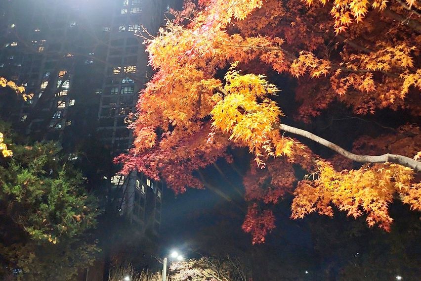 여의도최고급트럼프월드