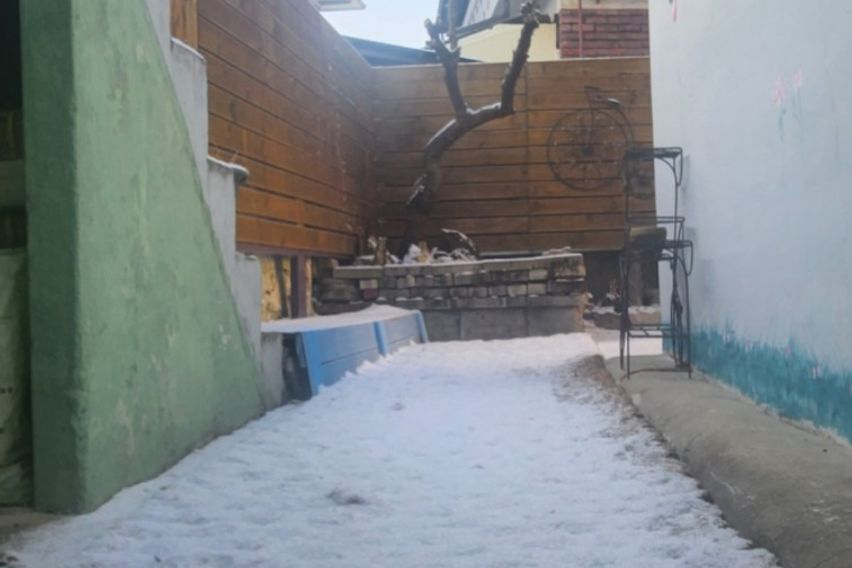 충주대형견동반독채민박 17번째 이미지