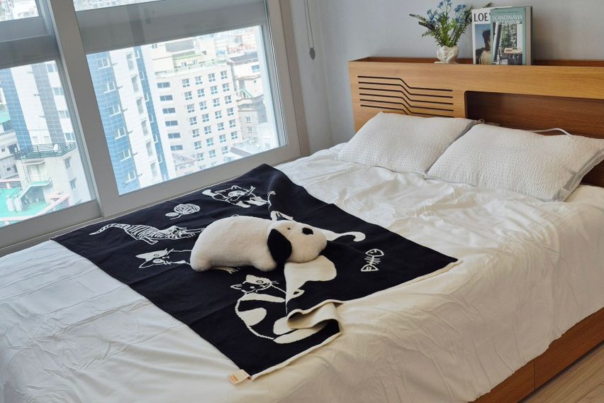 부산시청 코지하우스2