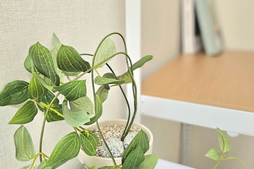 로와스테이디럭스A2타입 3번째 이미지