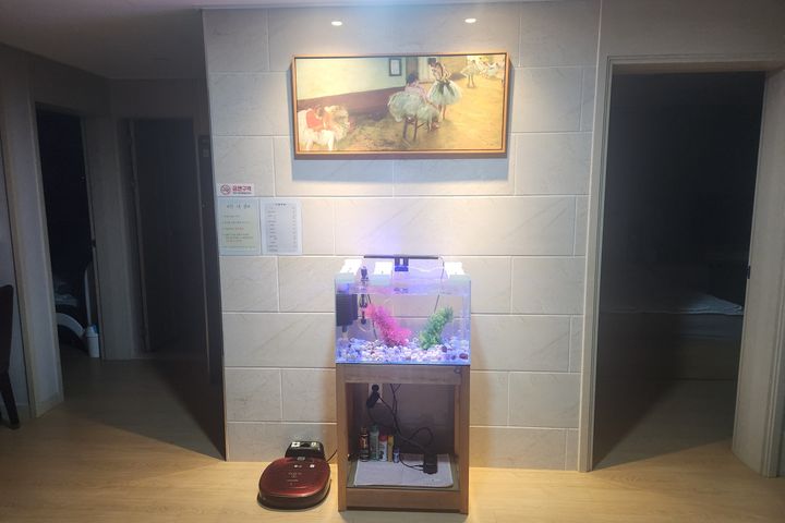 환호공원 최고 단독주택 18번째 이미지