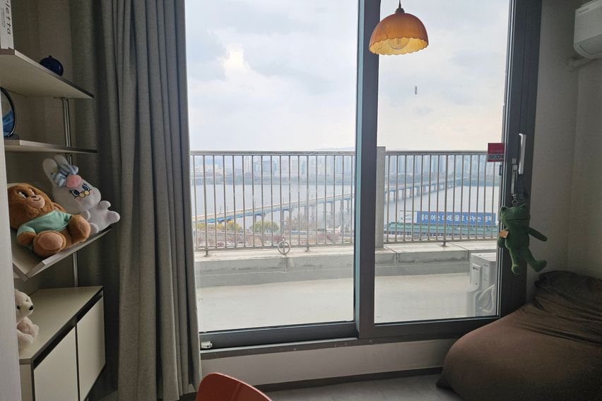 한강뷰 with 고양이