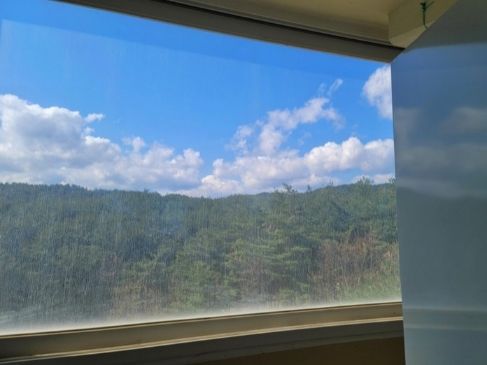 [양양] 푸르다양양 13번째 이미지